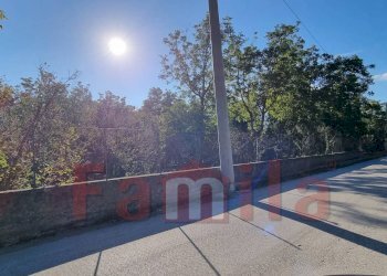 Foto 6 - Terreno agricolo Avella - foto 6