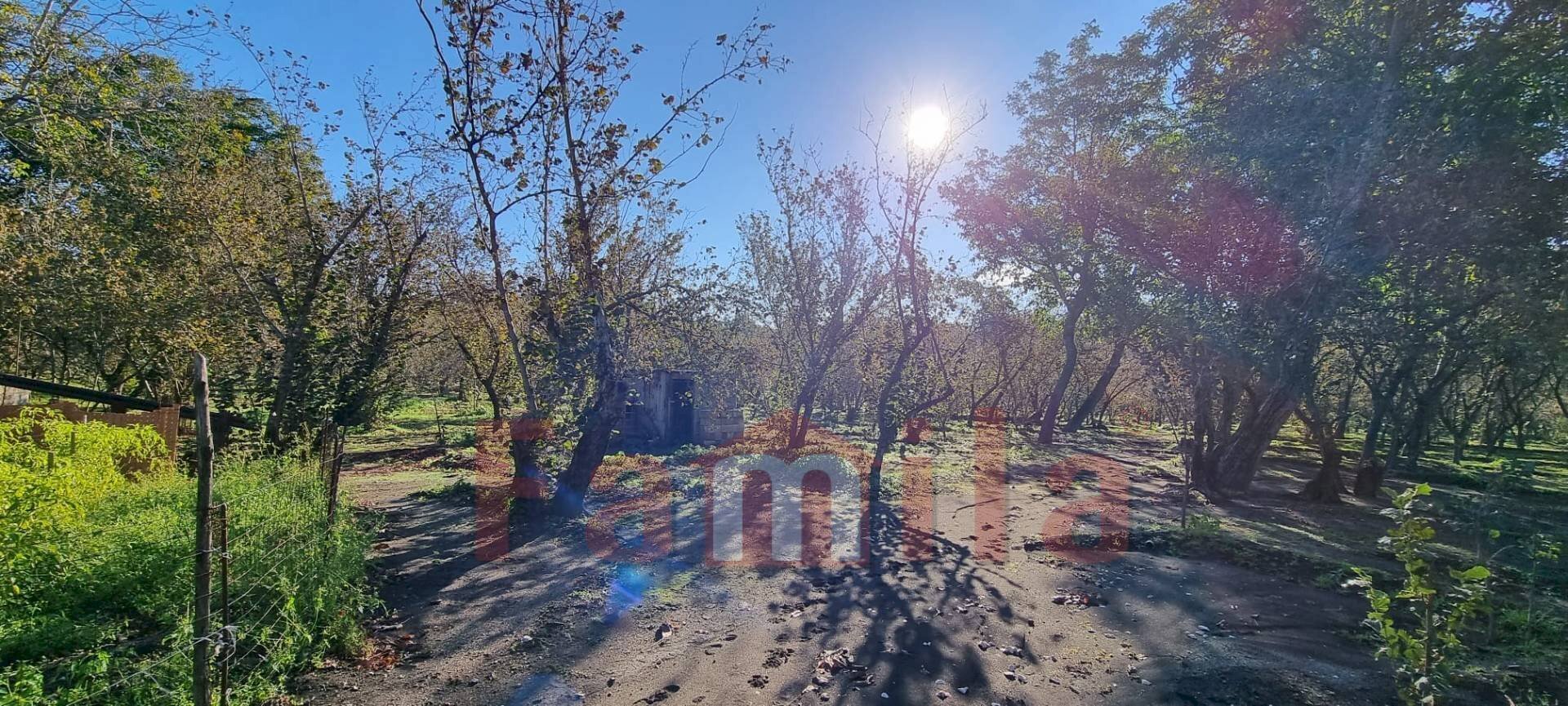 Foto 3 - Terreno agricolo Avella - foto 3