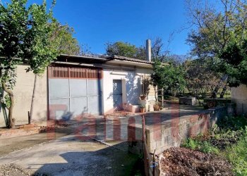 Foto 1 - Terreno agricolo Avella - foto 1