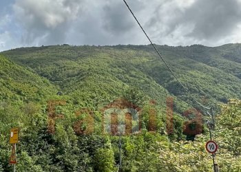 Foto 1 - Terreno agricolo Quadrelle - foto 1