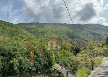 Foto 2 - Terreno agricolo Quadrelle - foto 2