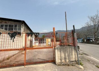 Foto 4 - Magazzino Avella - foto 4