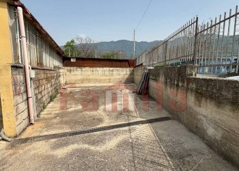 Foto 5 - Magazzino Avella - foto 5