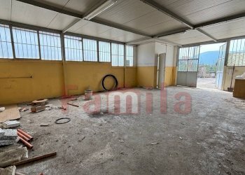 Foto 10 - Magazzino Avella - foto 10