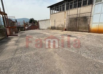 Foto 13 - Magazzino Avella - foto 13