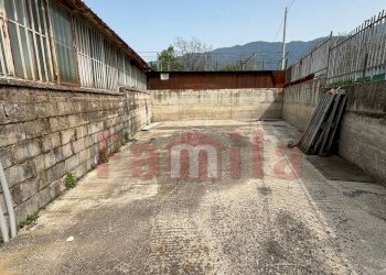 Foto 14 - Magazzino Avella - foto 14