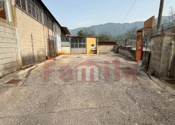 Foto 15 - Magazzino Avella - foto 15