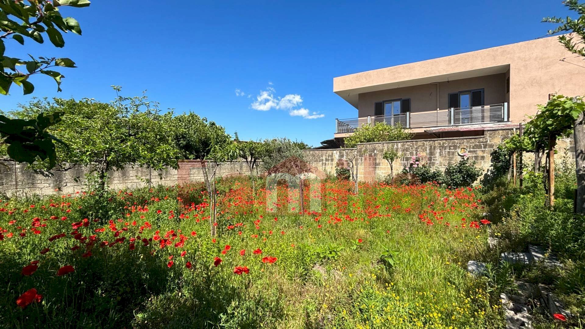 Foto 3 - Terreno edificabile Mugnano del Cardinale - foto 3