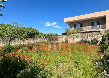 Foto 3 - Terreno edificabile Mugnano del Cardinale - foto 3