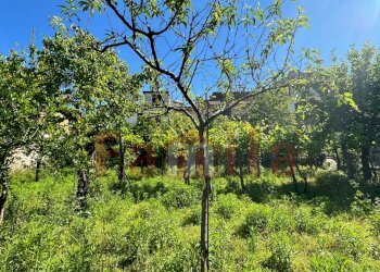 Foto 5 - Terreno edificabile Mugnano del Cardinale - foto 5