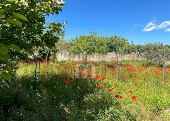 Foto 6 - Terreno edificabile Mugnano del Cardinale - foto 6