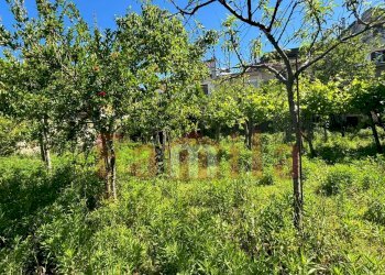 Foto 7 - Terreno edificabile Mugnano del Cardinale - foto 7