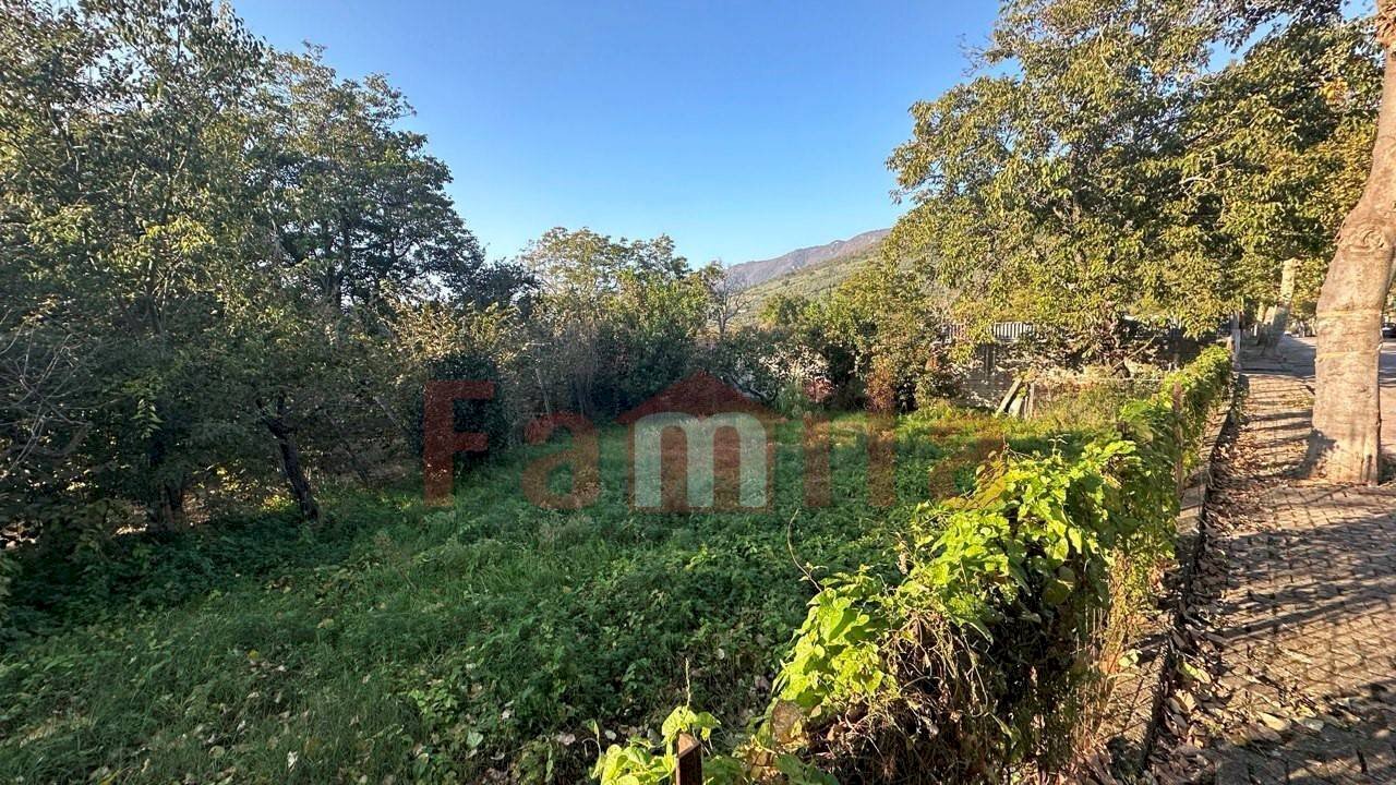 Foto 1 - Terreno agricolo Sirignano - foto 1