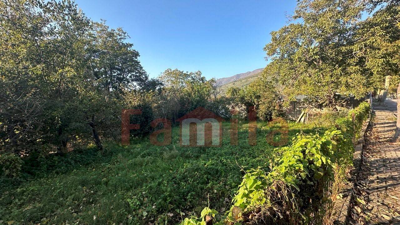 Foto 2 - Terreno agricolo Sirignano - foto 2