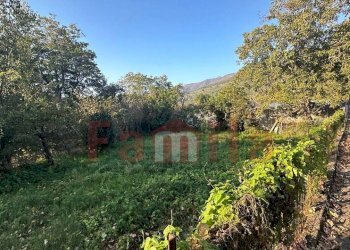 Foto 1 - Terreno agricolo Sirignano - foto 1