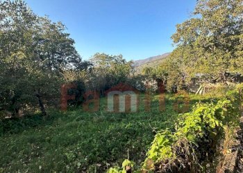 Foto 2 - Terreno agricolo Sirignano - foto 2