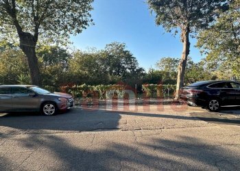 Foto 3 - Terreno agricolo Sirignano - foto 3