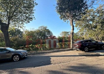 Foto 5 - Terreno agricolo Sirignano - foto 5