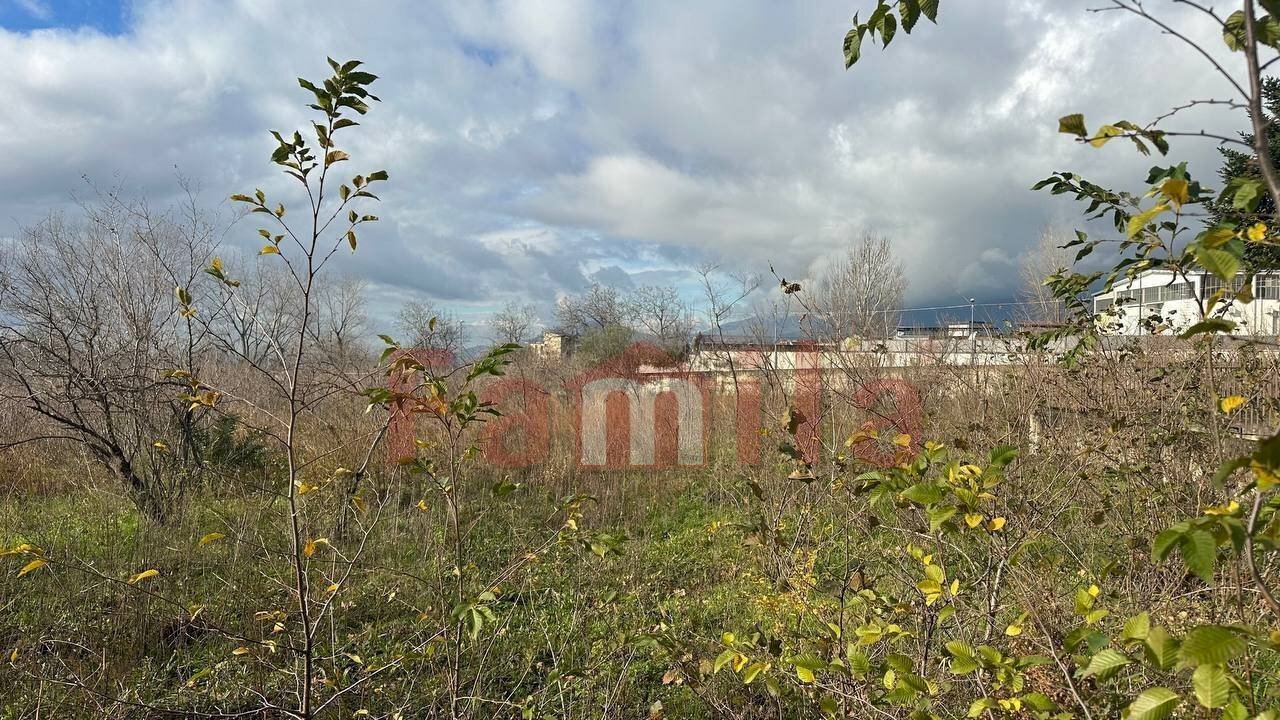 Foto 2 - Agricultural land Quadrelle - photo 2