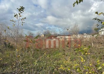Foto 2 - Terreno agricolo Quadrelle - foto 2