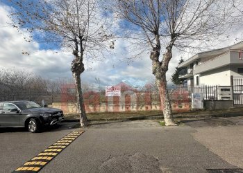 Foto 4 - Terreno agricolo Quadrelle - foto 4