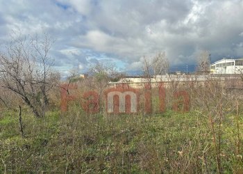 Foto 5 - Terreno agricolo Quadrelle - foto 5