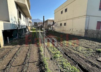 Foto 13 - Villa Sperone - foto 13