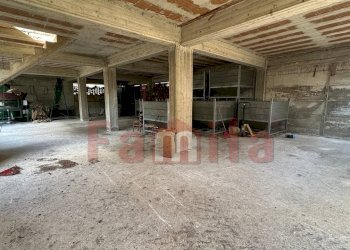 Foto 15 - Villa Sperone - foto 15