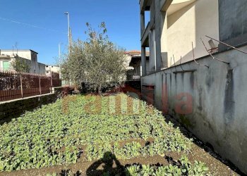 Foto 16 - Villa Sperone - foto 16