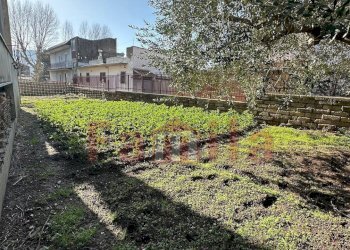 Foto 17 - Villa Sperone - foto 17