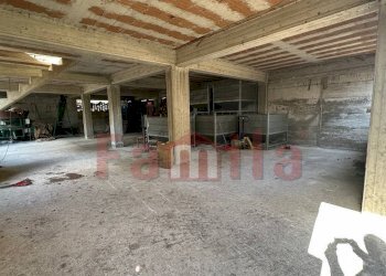 Foto 19 - Villa Sperone - foto 19