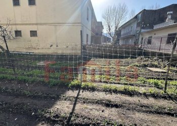 Foto 20 - Villa Sperone - foto 20