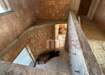 Foto 42 - Villa Sperone - foto 42