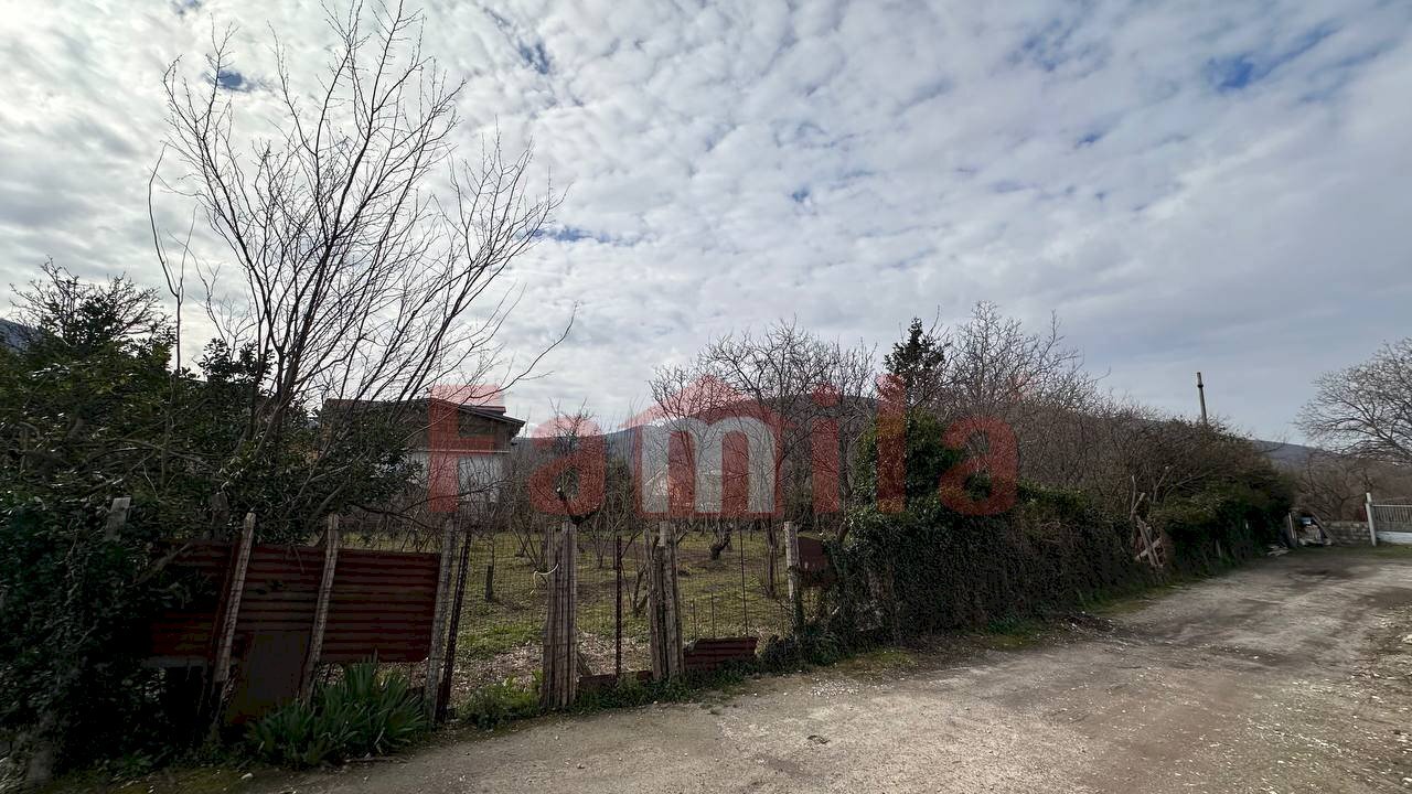 Foto 2 - Terreno agricolo Mugnano del Cardinale - foto 2