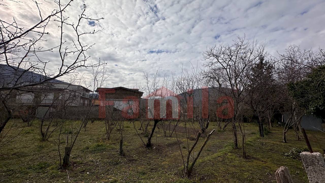 Foto 3 - Terreno agricolo Mugnano del Cardinale - foto 3