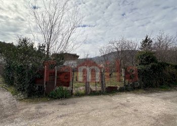 Foto 1 - Terreno agricolo Mugnano del Cardinale - foto 1