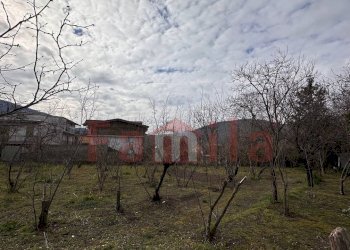 Foto 3 - Terreno agricolo Mugnano del Cardinale - foto 3