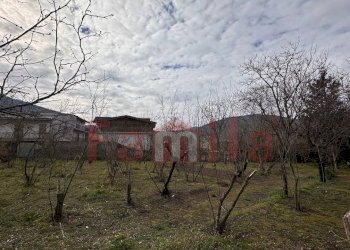 Foto 4 - Terreno agricolo Mugnano del Cardinale - foto 4