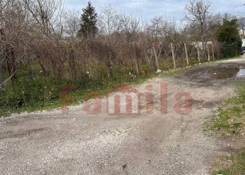 Foto 6 - Terreno agricolo Mugnano del Cardinale - foto 6