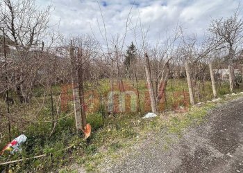 Foto 9 - Terreno agricolo Mugnano del Cardinale - foto 9