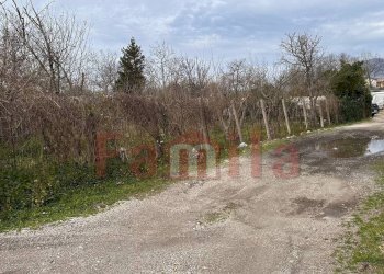 Foto 11 - Terreno agricolo Mugnano del Cardinale - foto 11