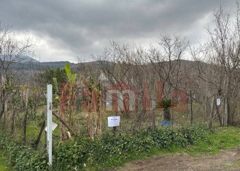 Foto 1 - Terreno edificabile Mugnano del Cardinale - foto 1