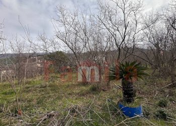 Foto 4 - Terreno edificabile Mugnano del Cardinale - foto 4