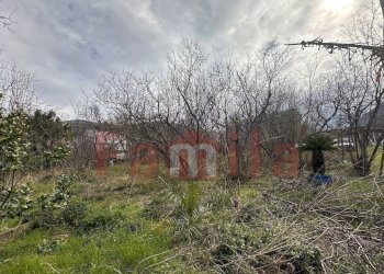 Foto 5 - Terreno edificabile Mugnano del Cardinale - foto 5