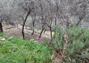 Foto 29 - Villa FRAZIONE  SANGUINETO, Chiavari - foto 28