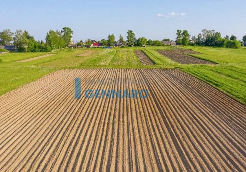 Foto 1 - Agricultural land Via Montello, Visco - photo 1