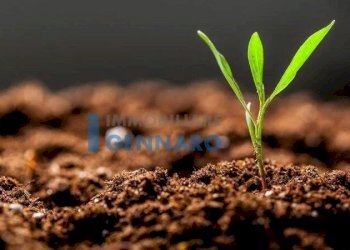 Foto 2 - Terreno agricolo Via Montello, Visco - foto 2