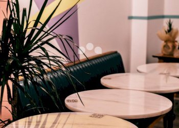 Foto 12 - Bar Tavola Calda - Fredda Crema - foto 12