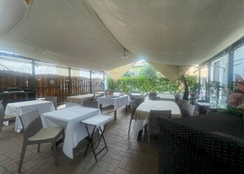 Foto 11 - Azienda agricola Arsago Seprio - foto 11