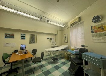 Foto 20 - Azienda agricola Via Marconi
57, Ispra - foto 20